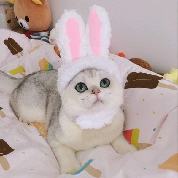 Cat Costume, EYLEER Pet Cat Kitten Small Dog Costume Cat Bunny Rabbit Hat with Ears for Kitten Cats & Small Dogs Party Costume Accessory Headwear